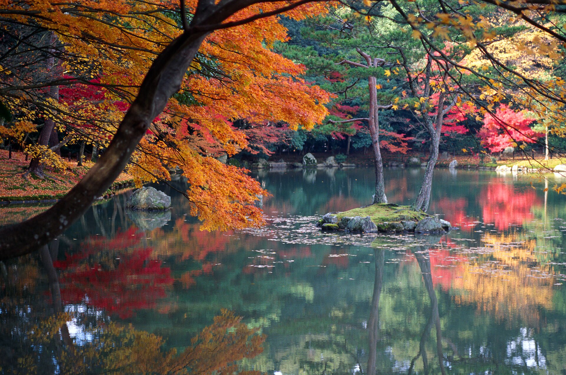 Autumn foliage reflected in a garden pond in Kyoto