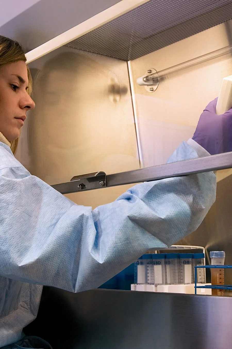 Researcher pipetting a sample inside a biosafety cabinet